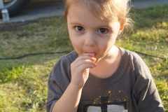 DSC08464 (1067x1600)