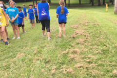 IMG-103